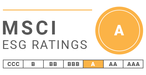 MSCI Rating